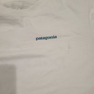 Patagonia Mens tshirt